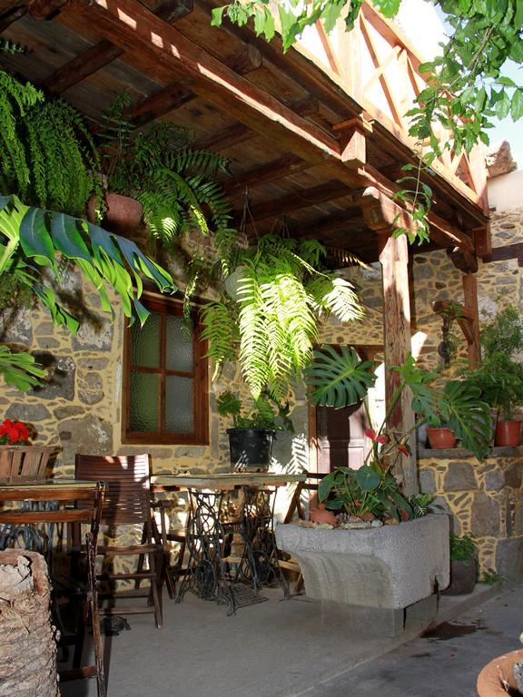Casa Emblematica La Pileta Holiday home *